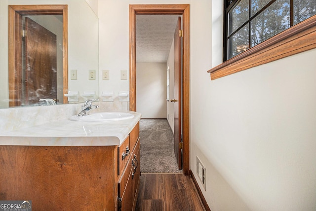 175 Slicky Rock Ct, Riverdale, GA 30274 - bathroom featuring vanity, wood finished floors, and a textured ceiling