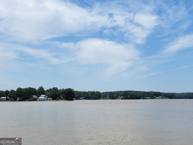 1720 Campbell Rd, Covington, GA 30014 - water view