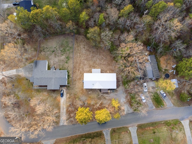 bird's eye view