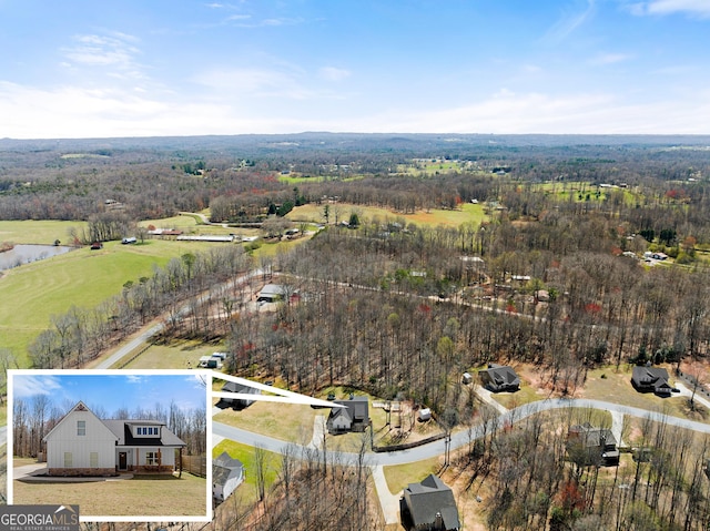 149 Pleasantdale Dr, Demorest, GA 30535 - drone / aerial view of a forest