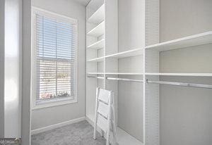 spacious closet with carpet