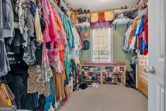 16 Quarter Horse Dr NW, Rome, GA 30165 - walk in closet with carpet floors