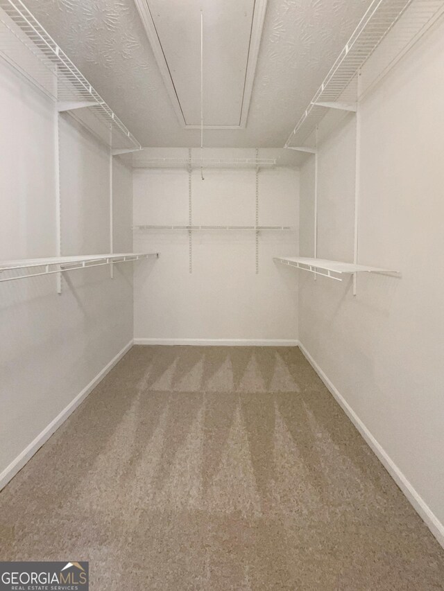 105 Creekwood Ln, Fayetteville, GA 30214 - walk in closet with attic access and carpet