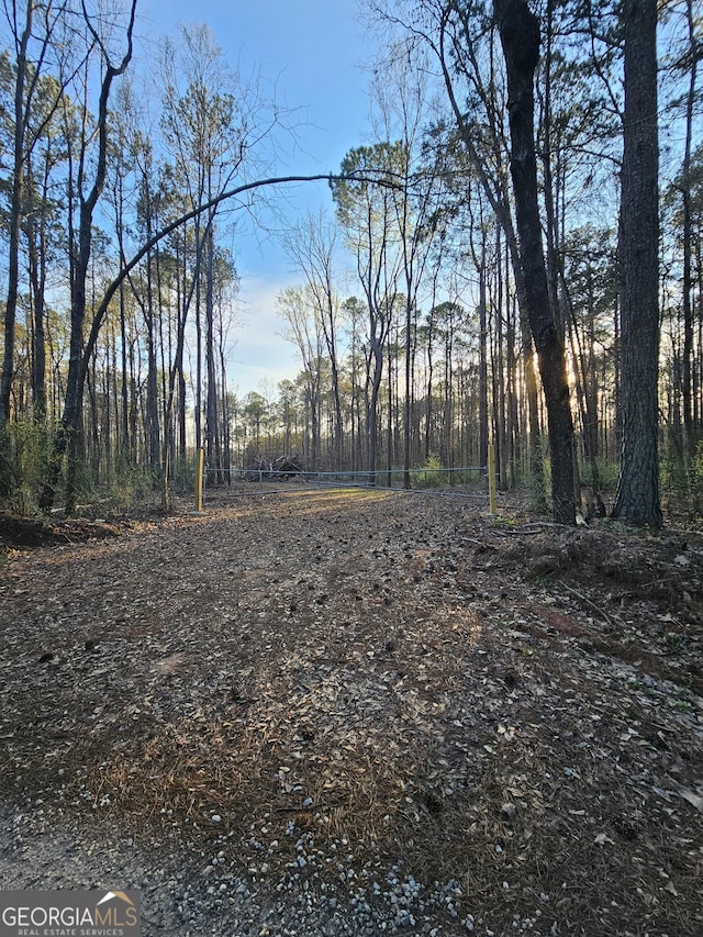 9.19AC Gay Rd, Monticello, GA 31064