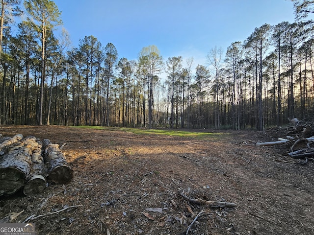 9.19AC Gay Rd, Monticello, GA 31064