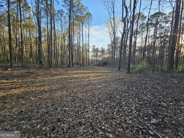 9.19AC Gay Rd, Monticello, GA 31064