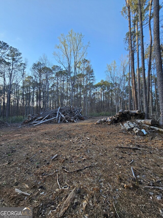 9.19AC Gay Rd, Monticello, GA 31064