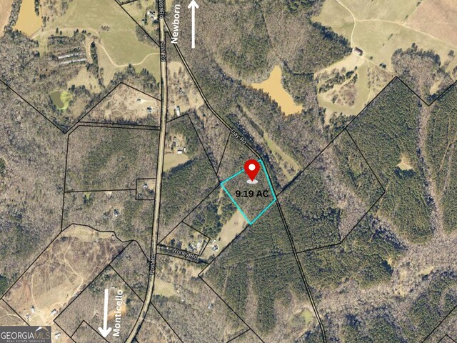9.19AC Gay Rd, Monticello, GA 31064