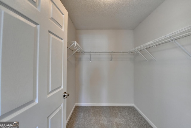 walk in closet with carpet