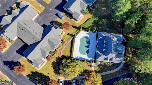 bird's eye view