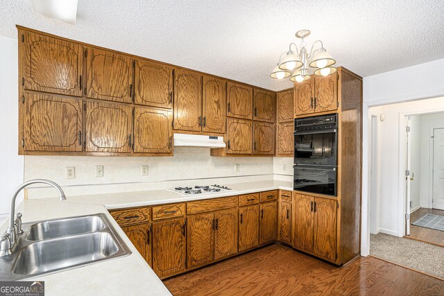 kitchen featuring a sink, white gas cooktop, dark wood-style floors, and light countertops