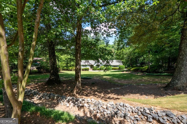 59 Woodlawn Dr, Marietta, GA 30067 - view of yard