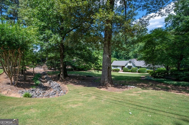 59 Woodlawn Dr, Marietta, GA 30067 - view of yard