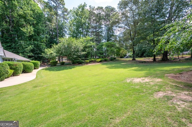 59 Woodlawn Dr, Marietta, GA 30067 - view of yard