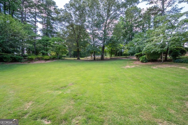 59 Woodlawn Dr, Marietta, GA 30067 - view of yard