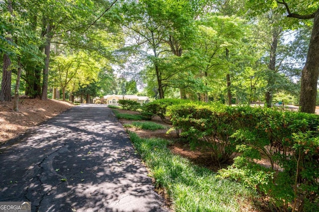 59 Woodlawn Dr, Marietta, GA 30067 - view of home's community featuring aphalt driveway