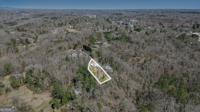bird's eye view