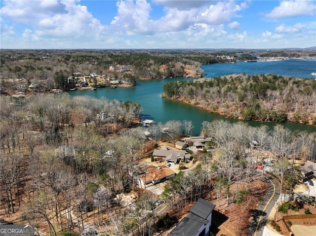 6041 Blackberry Ln, Buford, GA 30518 - view of property location featuring a large body of water