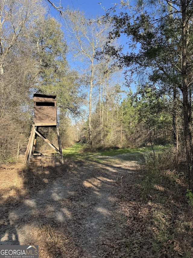 0 Hightower Ave, Blakely, GA 39823