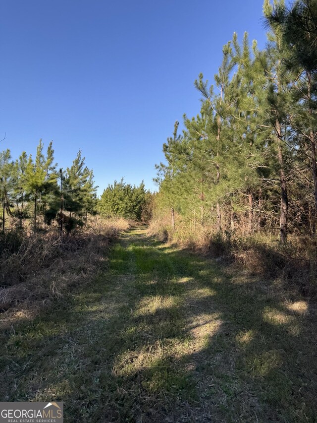 0 Hightower Ave, Blakely, GA 39823