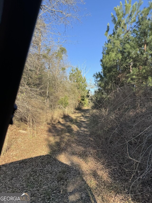 0 Hightower Ave, Blakely, GA 39823