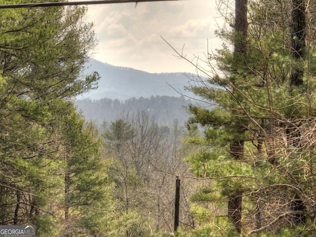 65 Weoka Ct, Ellijay, GA 30540 - view of mountain background featuring a heavily wooded area