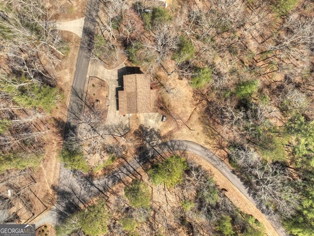 65 Weoka Ct, Ellijay, GA 30540 - aerial view