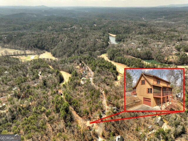 65 Weoka Ct, Ellijay, GA 30540 - view of subject property with a forest and property boundaries highlighted