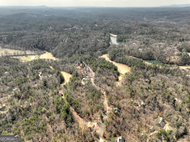 65 Weoka Ct, Ellijay, GA 30540 - view of property location with a forest and a mountain backdrop