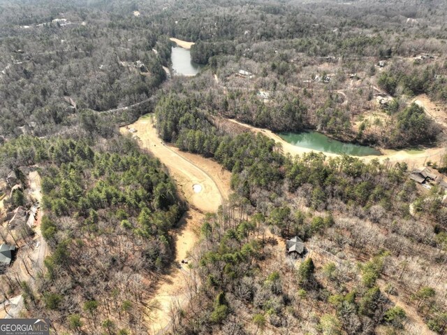 65 Weoka Ct, Ellijay, GA 30540 - view of property location featuring a forest and a large body of water