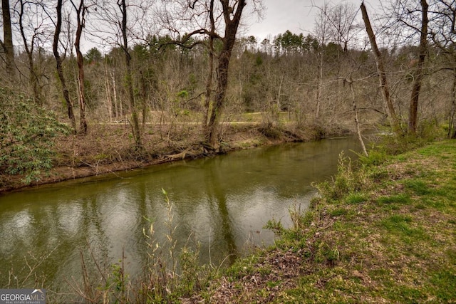 65 Weoka Ct, Ellijay, GA 30540 - water view with a heavily wooded area