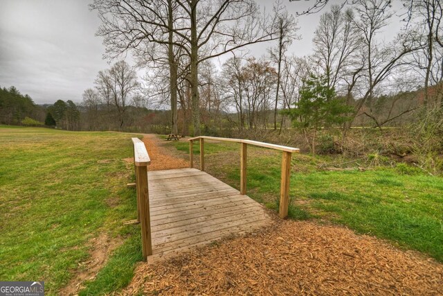 65 Weoka Ct, Ellijay, GA 30540 - view of property's community with a lawn and a view of trees