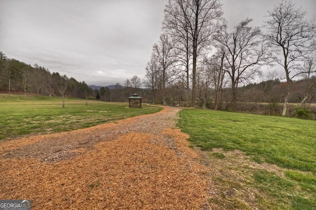 65 Weoka Ct, Ellijay, GA 30540 - view of green lawn with a mountain view