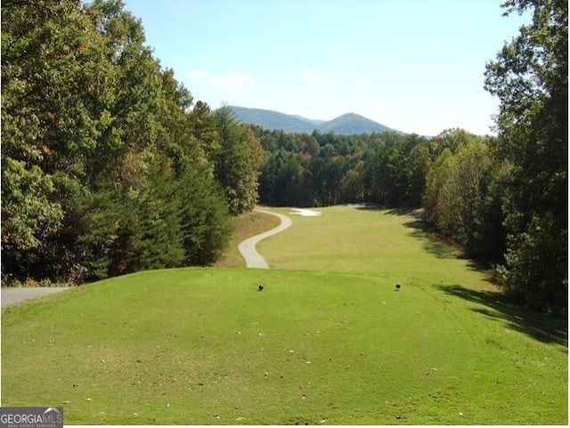 65 Weoka Ct, Ellijay, GA 30540 - view of community with a mountain view and view of golf course