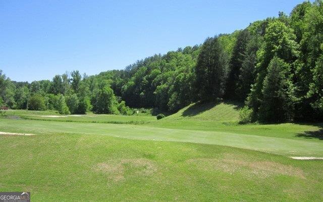 65 Weoka Ct, Ellijay, GA 30540 - surrounding community with view of golf course and a lawn