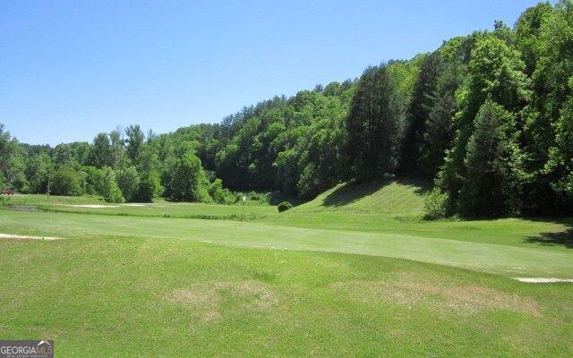 65 Weoka Ct, Ellijay, GA 30540 - view of home's community with view of golf course and a yard