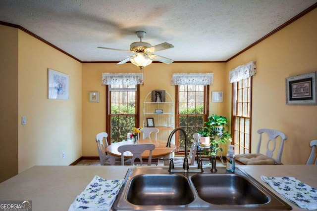 kitchen with a sink, crown molding, baseboards, a textured ceiling, and ceiling fan