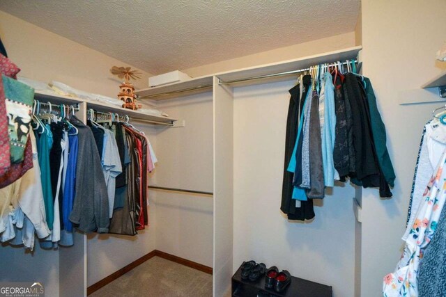 spacious closet with carpet flooring