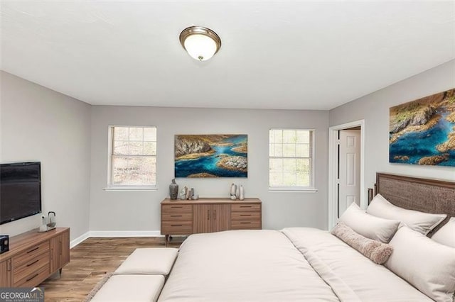3671 Satellite Blvd, Ellenwood, GA 30294 - bedroom featuring multiple windows, wood finished floors, and baseboards