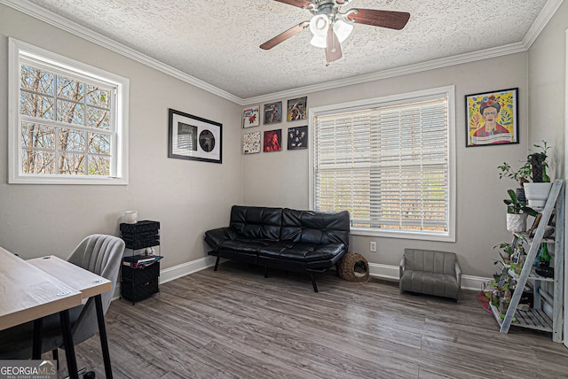 1875 Ebenezer Rd SW, Conyers, GA 30094 - home office featuring a textured ceiling, wood finished floors, healthy amount of natural light, ceiling fan, and ornamental molding