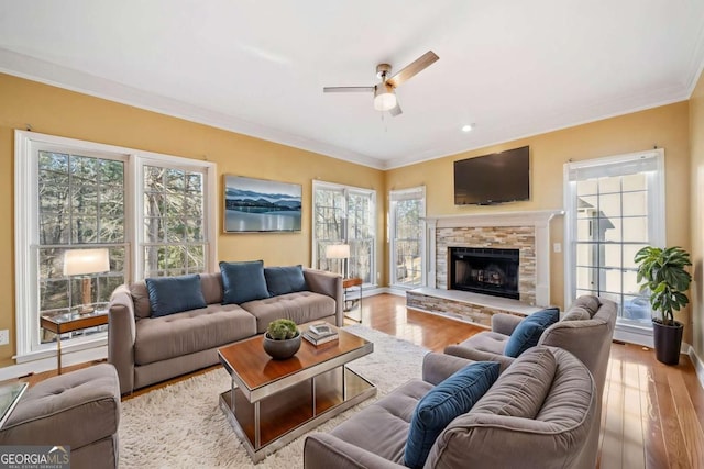 living room featuring wood finished floors, a stone fireplace, ornamental molding, and a ceiling fan