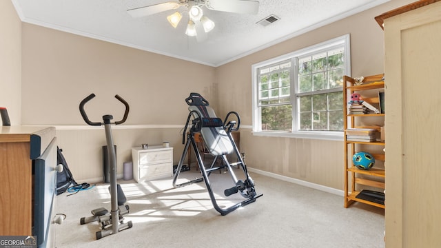 26 The Trl SE, Lindale, GA 30147 - exercise area with carpet floors, crown molding, ceiling fan, and wainscoting