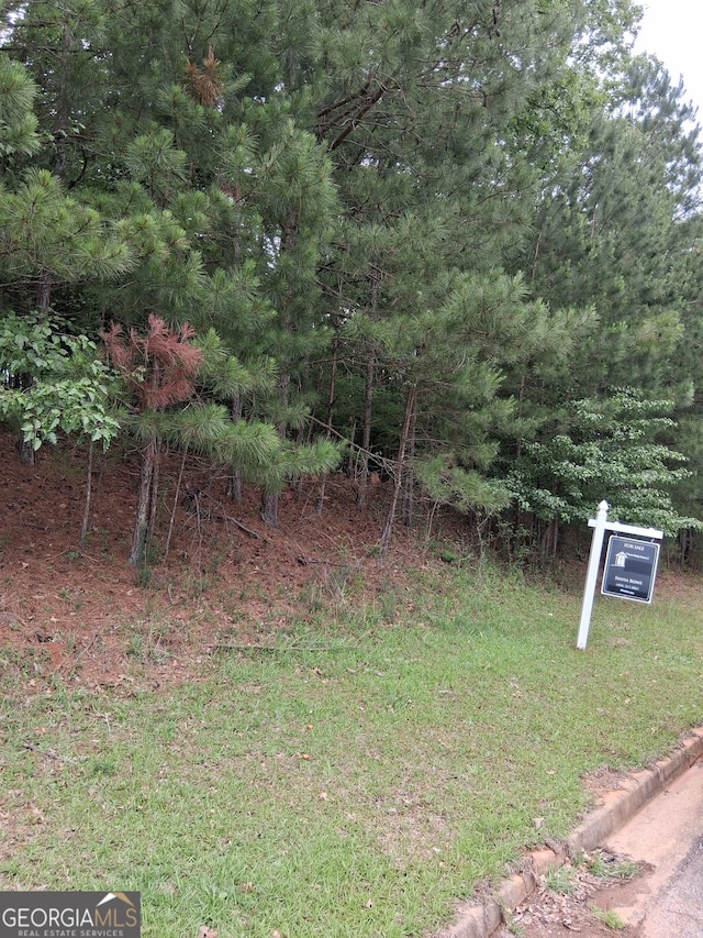 0 SW Bellevue Dr E, Conyers, GA 30094