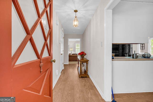 foyer with a healthy amount of sunlight, baseboards, and wood finished floors