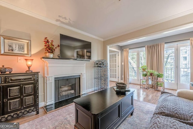 living room featuring ornamental molding, wood finished floors, and a fireplace