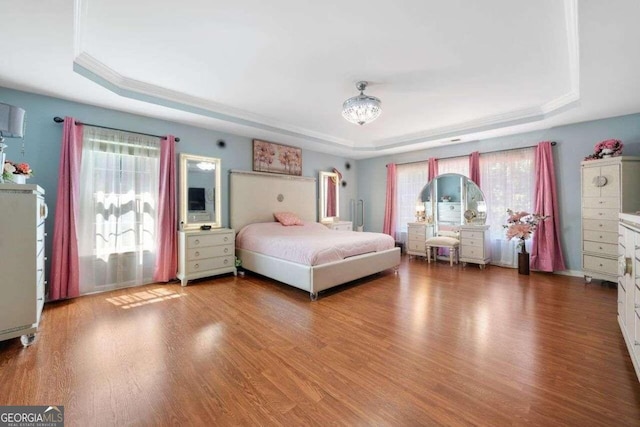 3015 Gold Creek Dr, Villa Rica, GA 30180 - bedroom with a tray ceiling, multiple windows, and wood finished floors