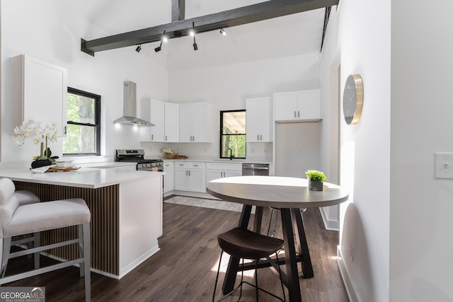 6592 Factory Shoals Rd SW, Mableton, GA 30126 - kitchen featuring wall chimney exhaust hood, appliances with stainless steel finishes, high vaulted ceiling, a peninsula, and white cabinetry