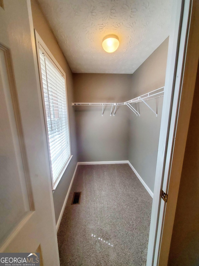 walk in closet featuring visible vents and carpet flooring