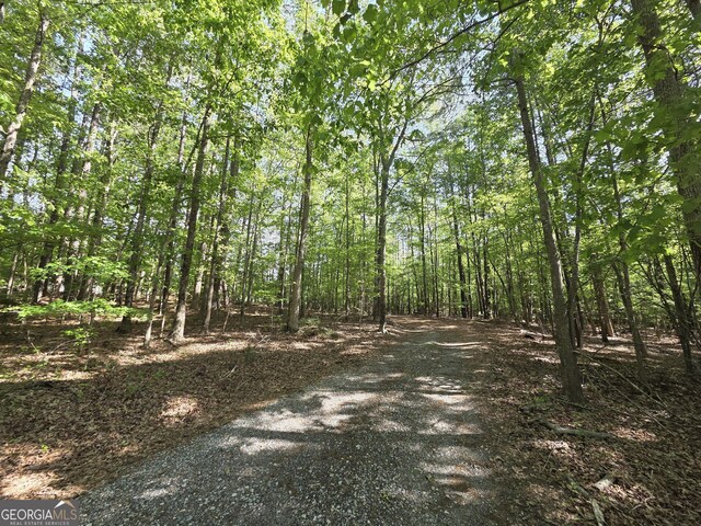 view of street featuring a view of trees
