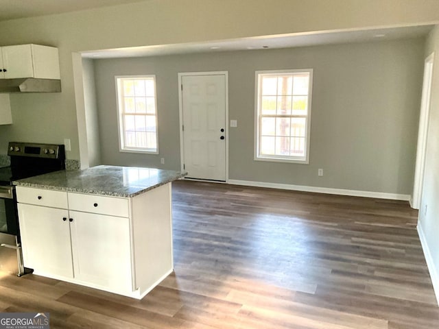 1350 Dogwood Rd, Woodville, GA 30669 - kitchen featuring white cabinets, a peninsula, plenty of natural light, and stainless steel electric stove